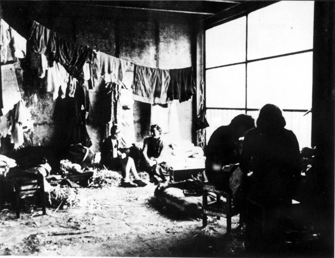 סקר שנערך בקרב האוכלוסייה הבוגרת בצרפת מצביע על בורות חמורה בנושא השואה; 25% מבני דור המילניום לא שמעו על השואה או שלא בטוחים ששמעו עליה